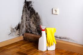 Jacksboro, TN Mold Inspection Company